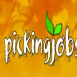 PickingJobs