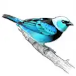 JB logo for Working